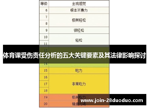 体育课受伤责任分析的五大关键要素及其法律影响探讨