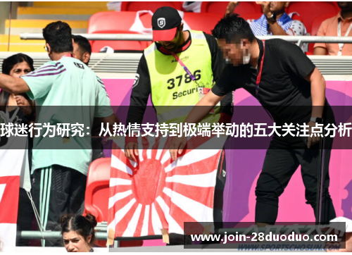 球迷行为研究：从热情支持到极端举动的五大关注点分析